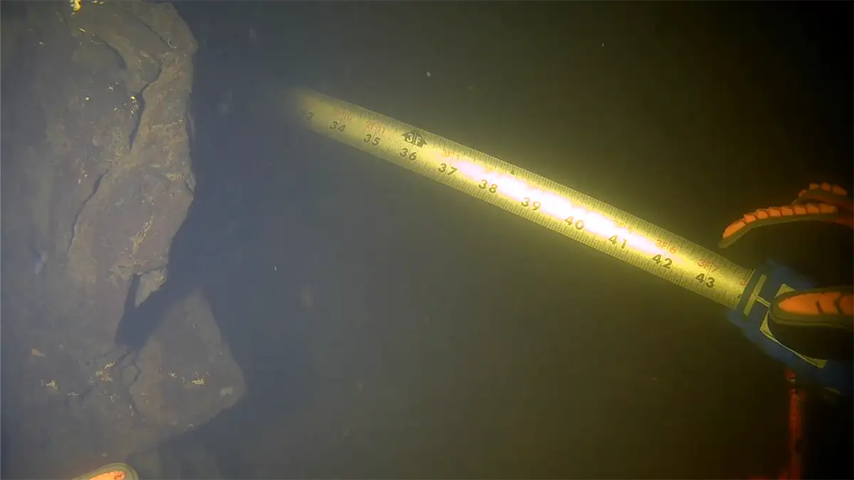 Reach Systems camera – underwater visibility comparison image